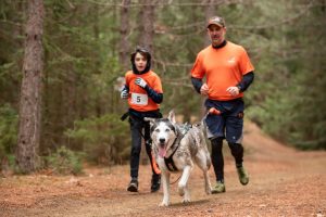 AniMush Éducation canine, comportement et sports canins attelés