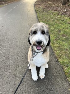 Two Hearts Pet Sitting