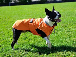 Head2Tail Pet Products
