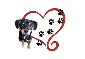 Danny’s Paw Prints