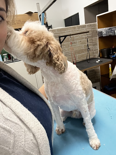 Golden Paw Dog Care Inc