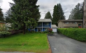 PawHub Dog Grooming Salon