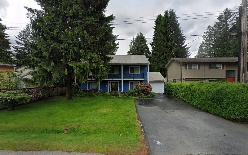 PawHub Dog Grooming Salon