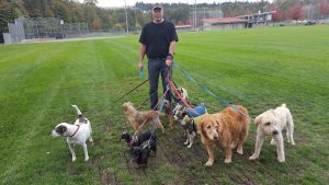 Wags 2 Whiskers – Dog Walking & Cat Sitting