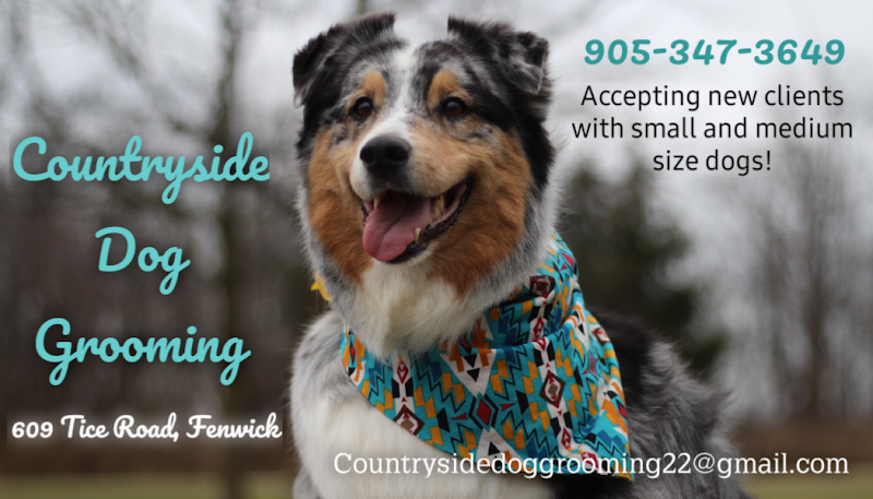 Countryside Dog Grooming