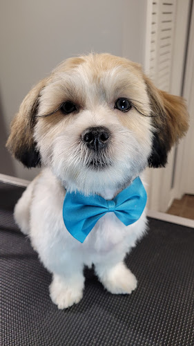 Emilia’s Pet Grooming