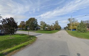 Grimsby Pet Grooming