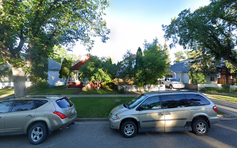 Bear Essential Dog Care Mobile Grooming