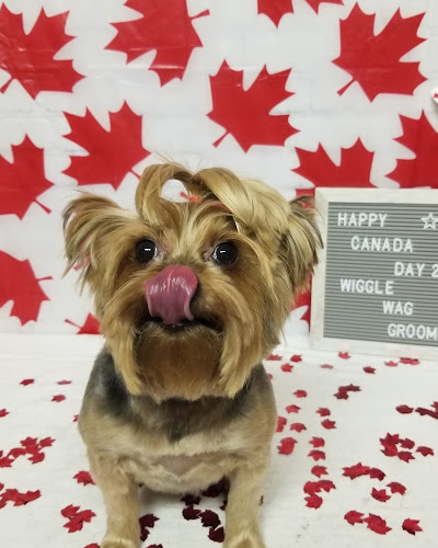 Wiggle Wag Grooming