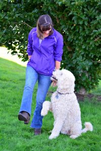Clever Canines Obedience Academy
