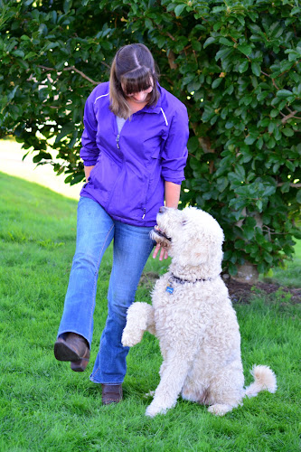 Clever Canines Obedience Academy