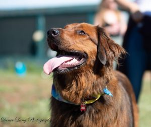 Tracker’s Pet Supply