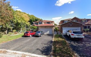 Executive Dog Walkers