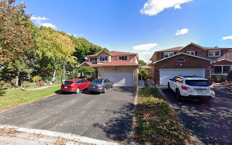 Executive Dog Walkers