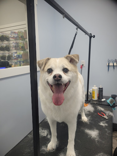 Unleashed Grooming & Pet Supply