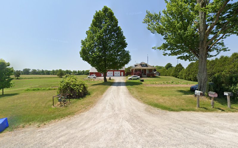 Tail’s Inn Dog Grooming