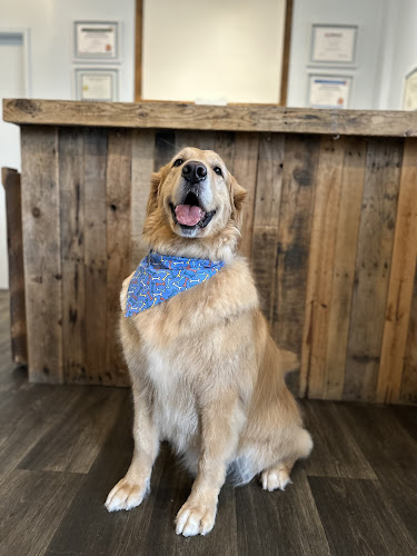 Seaside Dog Grooming & Daycare