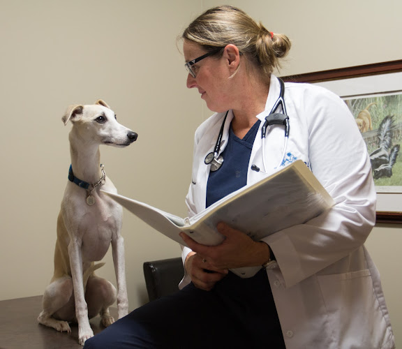 Highway 24 Veterinary Clinic