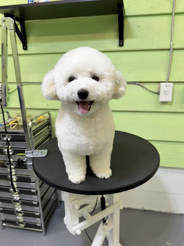 Furry Paw Pet Grooming绒宠宠物美容