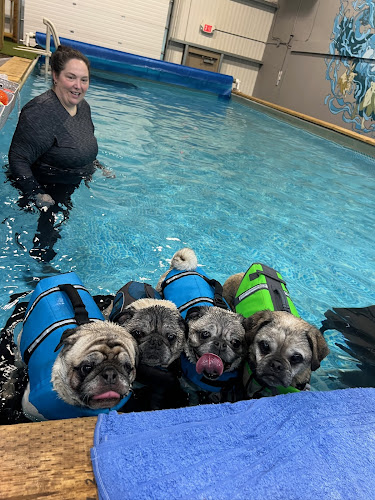 AquaStride Canine Wellness Centre