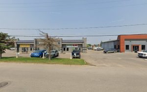 Designer Paws Grooming