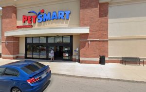 PetSmart Dog Training