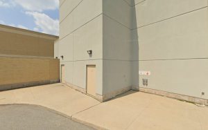 PetSmart Dog Training