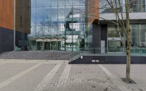 Home at last dog rescue