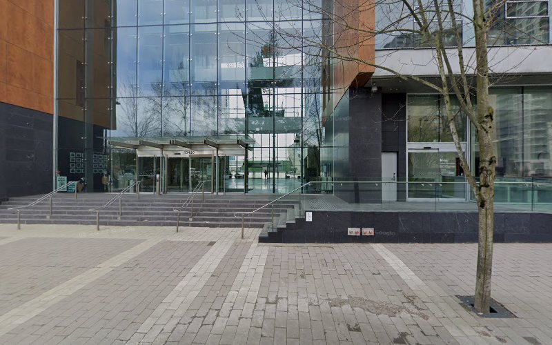 Home at last dog rescue