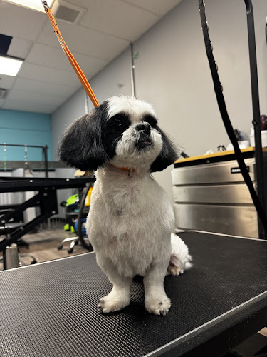 Way of Two Grooming Salon