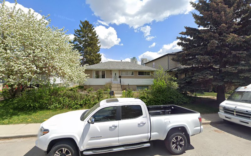 Canine Oasis Day Spa