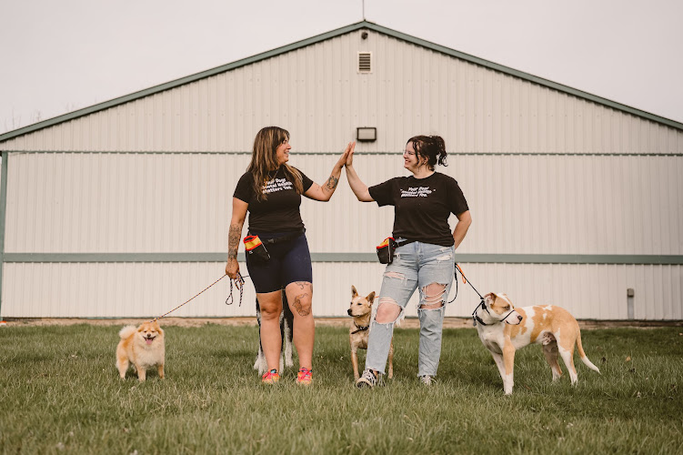 Pack’d Inn K9 Services