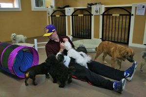 Fun 4 All Pet Resort