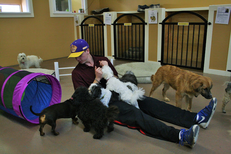 Fun 4 All Pet Resort