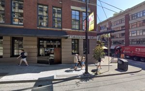 Lucky Puppy Dog Walking