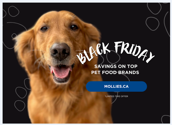 VCA Canada Kingsway Animal Hospital