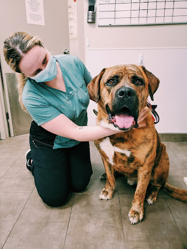 Watzin Veterinary Clinic