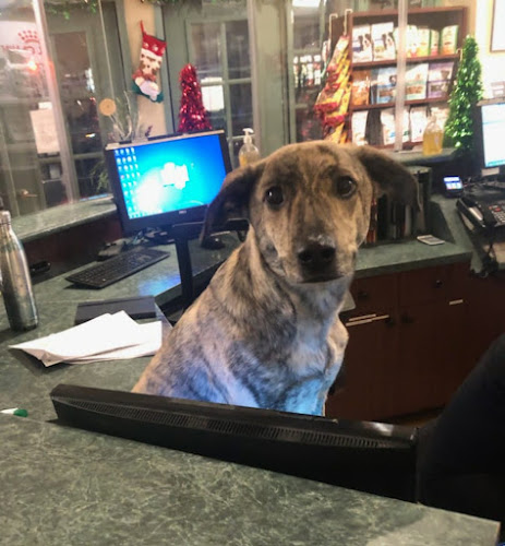Clarkson Village Animal Hospital