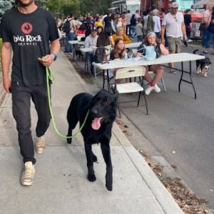 Canines Alberta Professional Dog Training