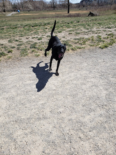 Pawsitive Behaviour 4 Life