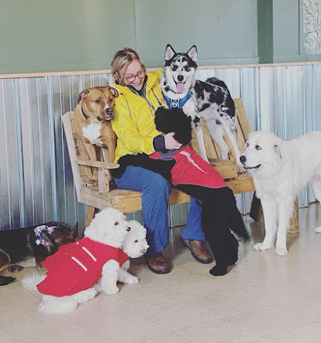 Island Dog Lodge