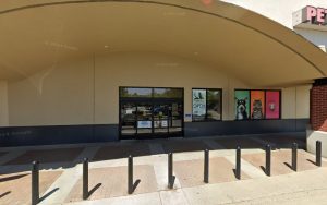 PetSmart Dog Training