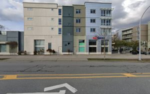 PetSmart Dog Training