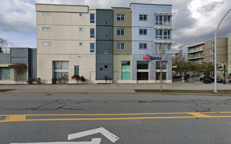 PetSmart Dog Training