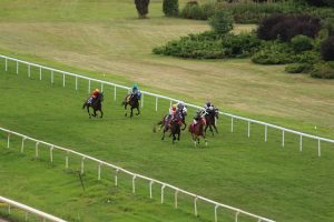 Lincoln Veterinary Services