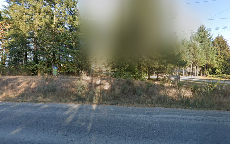 BarePaws Doggy Daycare