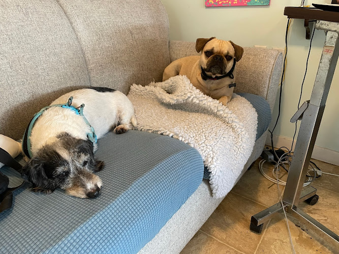 Happiest Pup Pet Services