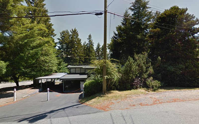 Kingdom paws dog services