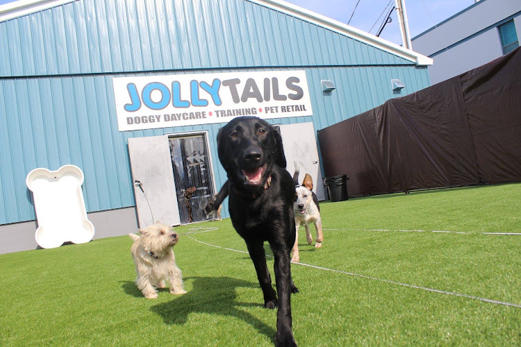 Jollytails Lady Hammond