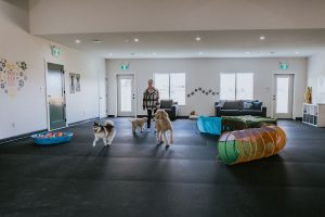 Canine Meadows Pet Resort